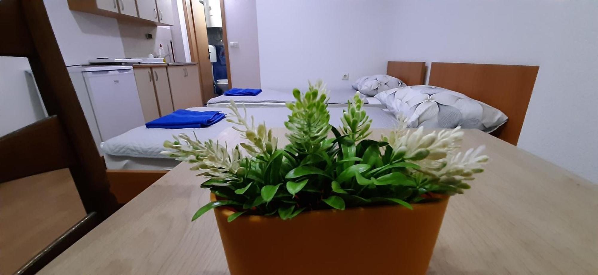Apartment Riki 3 Near Bus Station Ohrid Buitenkant foto